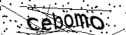 Anti-Bot verification code image