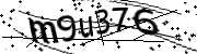 Anti-Bot verification code image