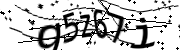 Anti-Bot verification code image